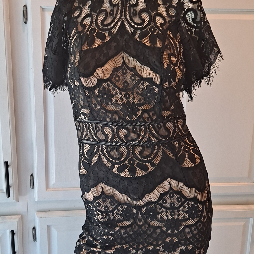 Petal Roz Elegant Black Lace Mini Dress